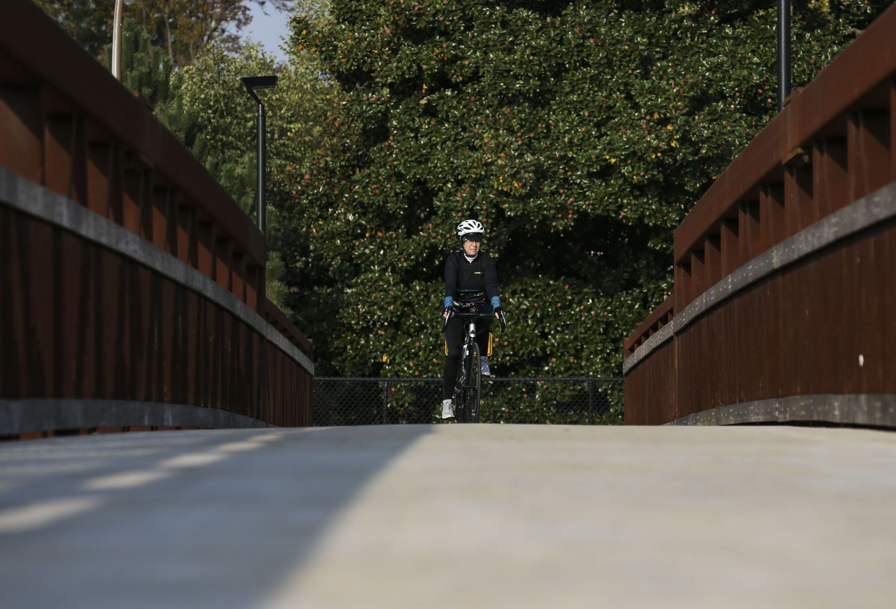 Greenway bridge opens in South St. Louis